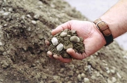 Цемент и другие сыпучие материалы по низким ценам Цемент и другие сыпучие материалы по низким ценам