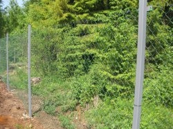 Сетка пластиковая, металлическая сетка-рабица - универсальный материал для сада Сетка пластиковая, металлическая сетка-рабица - универсальный материал для сада