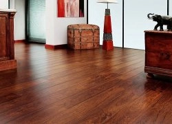 Мастер класс. Как ухаживать за ламинатом. Мастер класс. Как ухаживать за ламинатом.