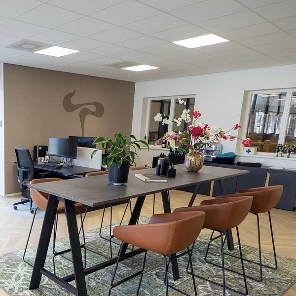 картинка Потолок подвесной KCS Schlicht Hygena SK 600х600х15мм 