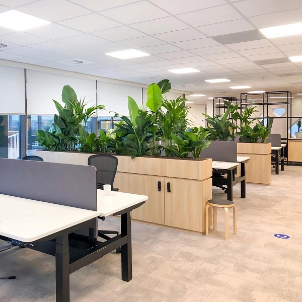 картинка Плита Armstrong Retail Board 600х600х12 мм картинка Плита Armstrong Retail Board 600х600х12 мм