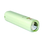 Светильник аккумуляторный Евросвет LED PM8100 зеленый 59190