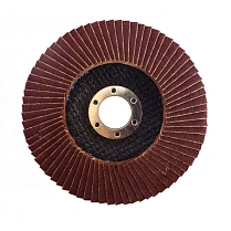 Диск лепестковый конический Werk 125х22,2 P36, T29 (WE107089/5432701) 36133